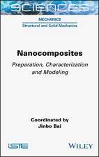 Nanocomposites: Preparation, Characterisation and Modeling