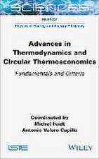 Advances in Thermodynamics and Circular Thermoeconomics: Fundamentals and Criteria