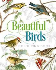 Gray, P: Beautiful Birds Colouring Book