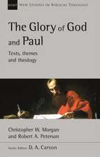 The Glory of God and Paul – Text, Themes and Theology