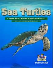 Sea Turtles