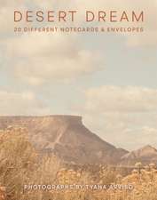 Desert Dream Notes