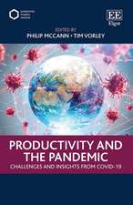 Productivity and the Pandemic – Challenges and Insights from Covid–19