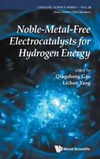 NOBLE-METAL-FREE ELECTROCATALYSTS FOR HYDROGEN ENERGY