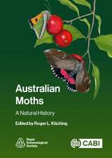 Australian Moths