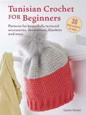 Tunisian Crochet for Beginners: 30 projects to make: Patterns for beautifully textured accessories, decorations, blankets and more