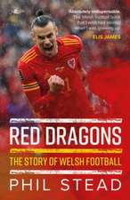 Red Dragons - The Story of Welsh Football