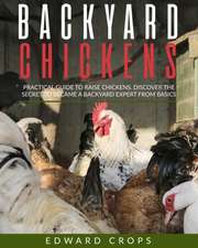 Backyard Chickens