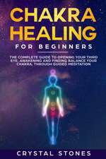 Chakra Healing for Beginners