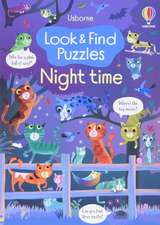 Look and Find Puzzles Night time