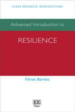 Advanced Introduction to Resilience