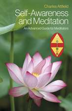 Self–Awareness and Meditation – An Advanced Guide for Meditators