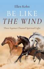 Be Like the Wind – Three Equines Channel Spiritual Light