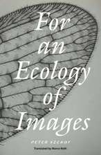 For an Ecology of Images