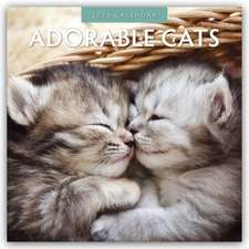 Red Robin Publishing Ltd: Adorable Cats - Liebenswerte Katze