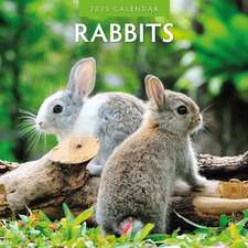 Rabbits - Hasen - Kaninchen 2025 - 16-Monatskalender