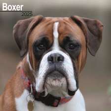 Boxer 2025 - 16-Monatskalender