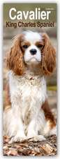 Cavalier King Charles Spaniels 2025