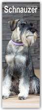 Schnauzer Slim Calendar 2025 Dog Breed Slimline Calendar - 12 Month