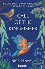 Call of the Kingfisher