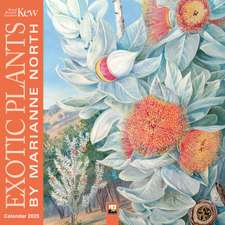 Kew Gardens: Exotic Plants by Marianne North Wall Calendar 2025 (Art Calendar)