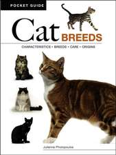 Cat Breeds