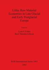 Lithic Raw Material Economies in Late Glacial and Early Postglacial Europe