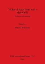 Violent Interactions in the Mesolithic