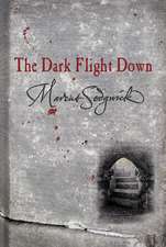 The Dark Flight Down