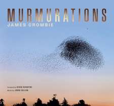 Murmuration