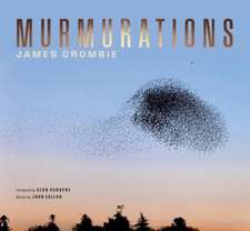 Murmurations