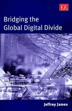 Bridging the Global Digital Divide