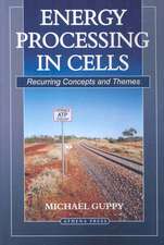 Energy Processing in Cells