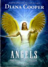 Angels of Light Cards Pocket Edition