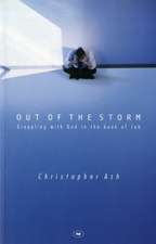 Out of the storm – Questions And Consolations From The Book Of Job