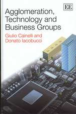 Agglomeration, Technology and Business Groups