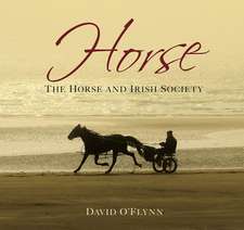 Horse: The Horse and Irish Society