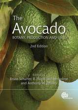 The Avocado – Botany, Production and Uses