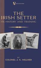 The Irish Setter: Its History & Training