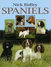 Spaniels: Work, Rest and Play