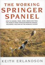 The Working Springer Spaniel