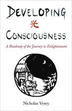 Developing Consciousness – A Roadmap of the Journey to Enlightenment