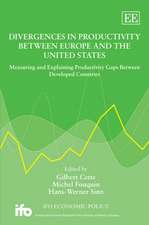 Divergences in Productivity Between Europe and t – Measuring and Explaining Productivity Gaps Between Developed Countries