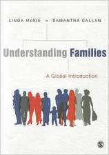 Understanding Families: A Global Introduction