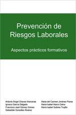 Prevencion de Riesgos Laborales: Aspectos Practicos Formativos