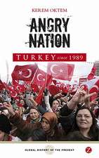 Turkey since 1989: Angry Nation