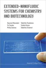 Extended-Nanofluidic Systems for Chemistry and Biotechnology