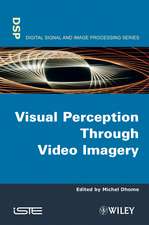 Visual Perception through Video Imagery