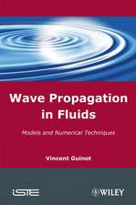 Wave Propagation in Fluids – Models and Numerical Techniques