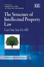 The Structure of Intellectual Property Law – Can One Size Fit All?